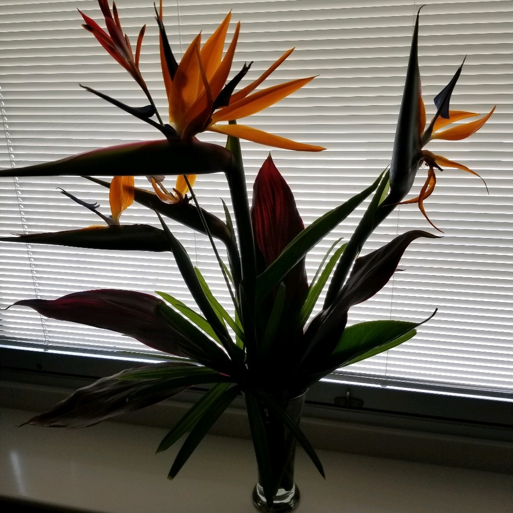 Meet your Posher, M p